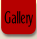 Gallery.