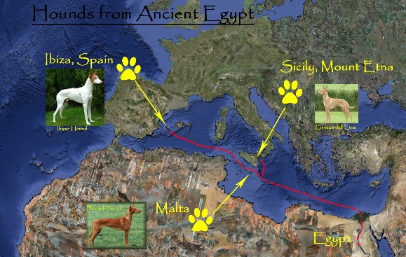 Origins of the Breed