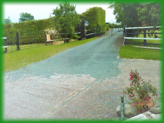 Dog Kennels in Welshpool