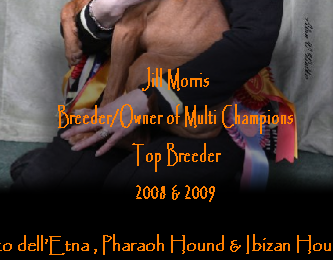 Jill Morris
Breeder/Owner of Multi Champions
Top Breeder  
2008 & 2009