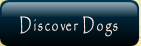 Discover Dogs.
