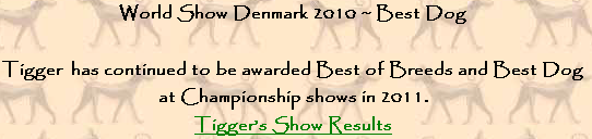 World Show Denmark 2010 ~ Best Dog

Tigger  has continued to be awarded Best of Breeds and Best Dog 
at Championship shows in 2011.
Tigger’s Show Results