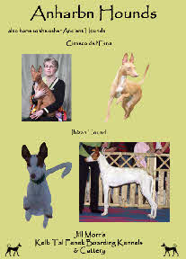 Anharbn adverts