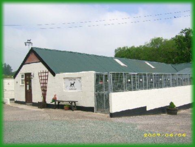 Dog Kennels in Welshpool