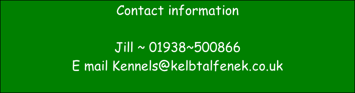 Contact information  Jill ~ 01938~500866 E mail Kennels@kelbtalfenek.co.uk